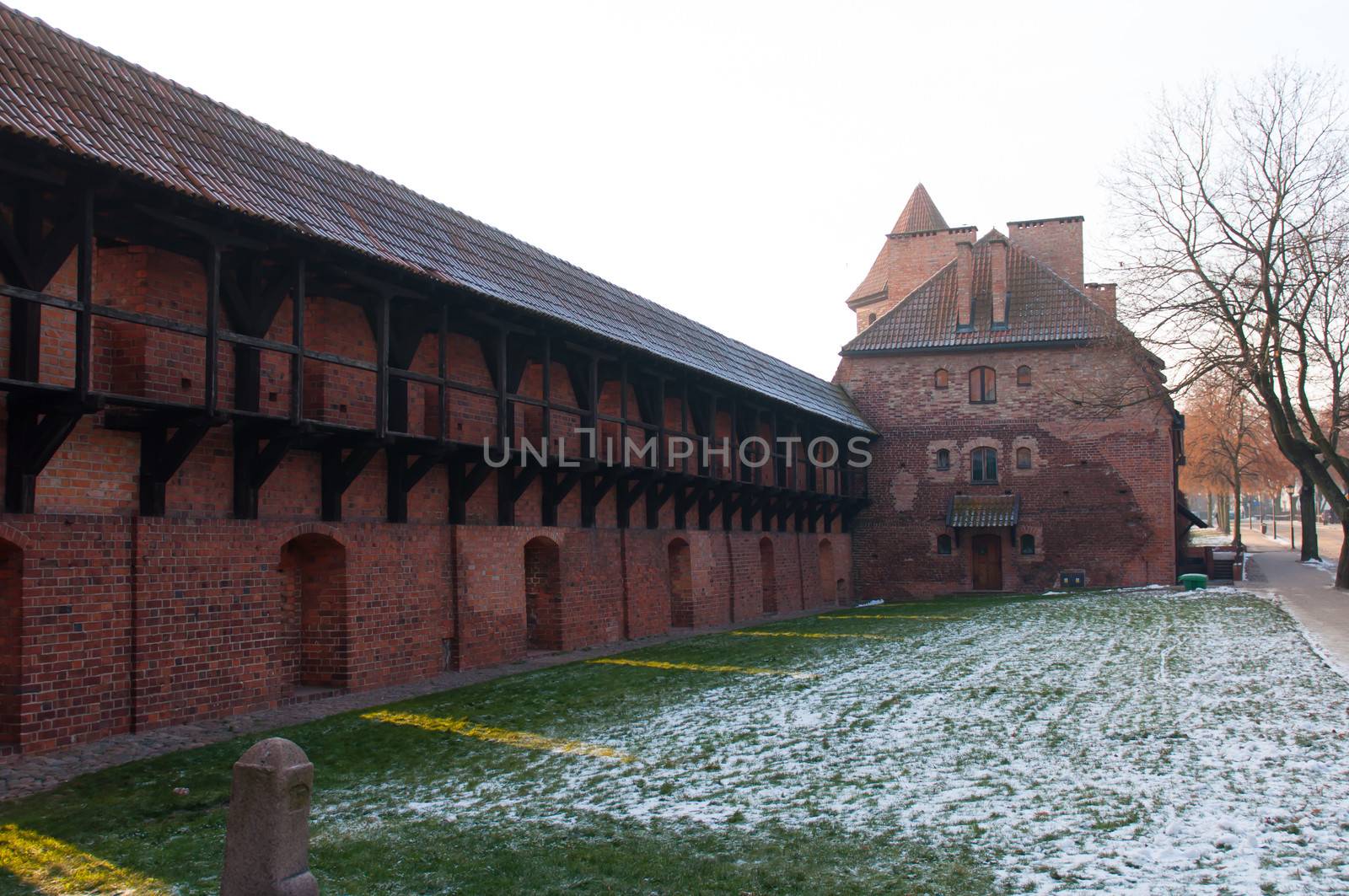 Castle of the Teutonic Order in Malbork by rook