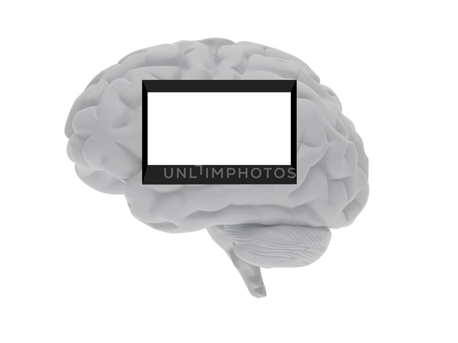 High resolution image. 3d rendered illustration. 3d human brain.