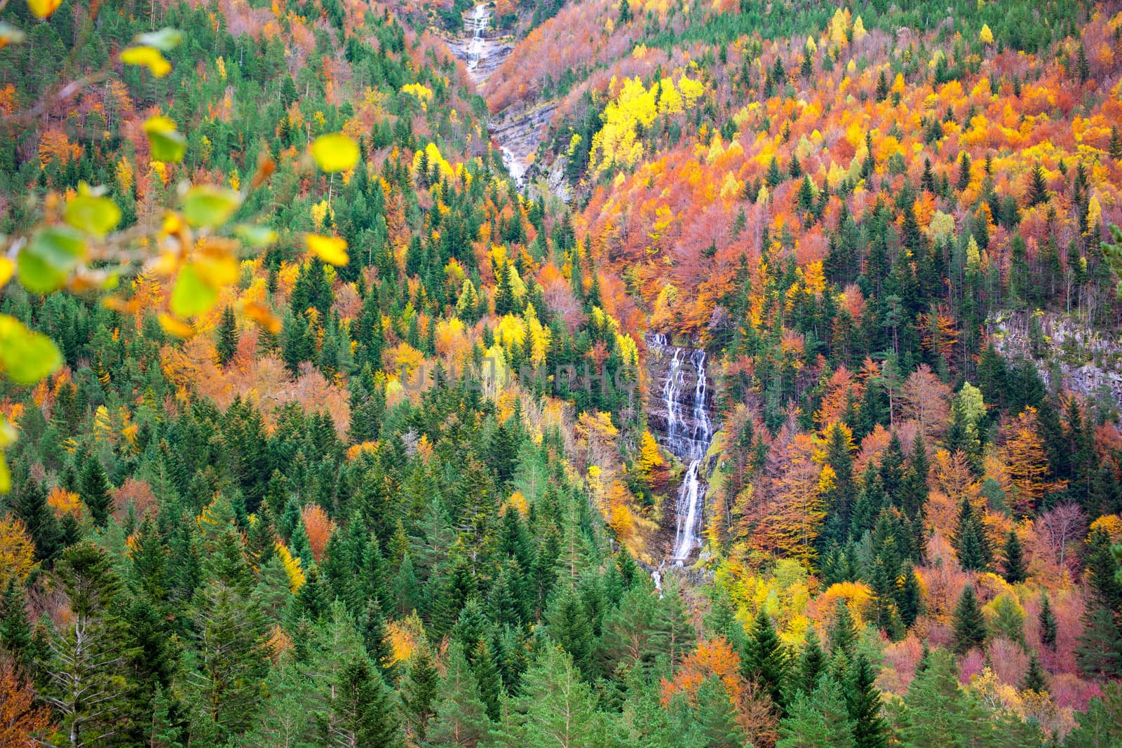 Autumn Bujaruelo Ordesa waterfal in colorful fall forest Pyrenees Aragon Huesca Spain