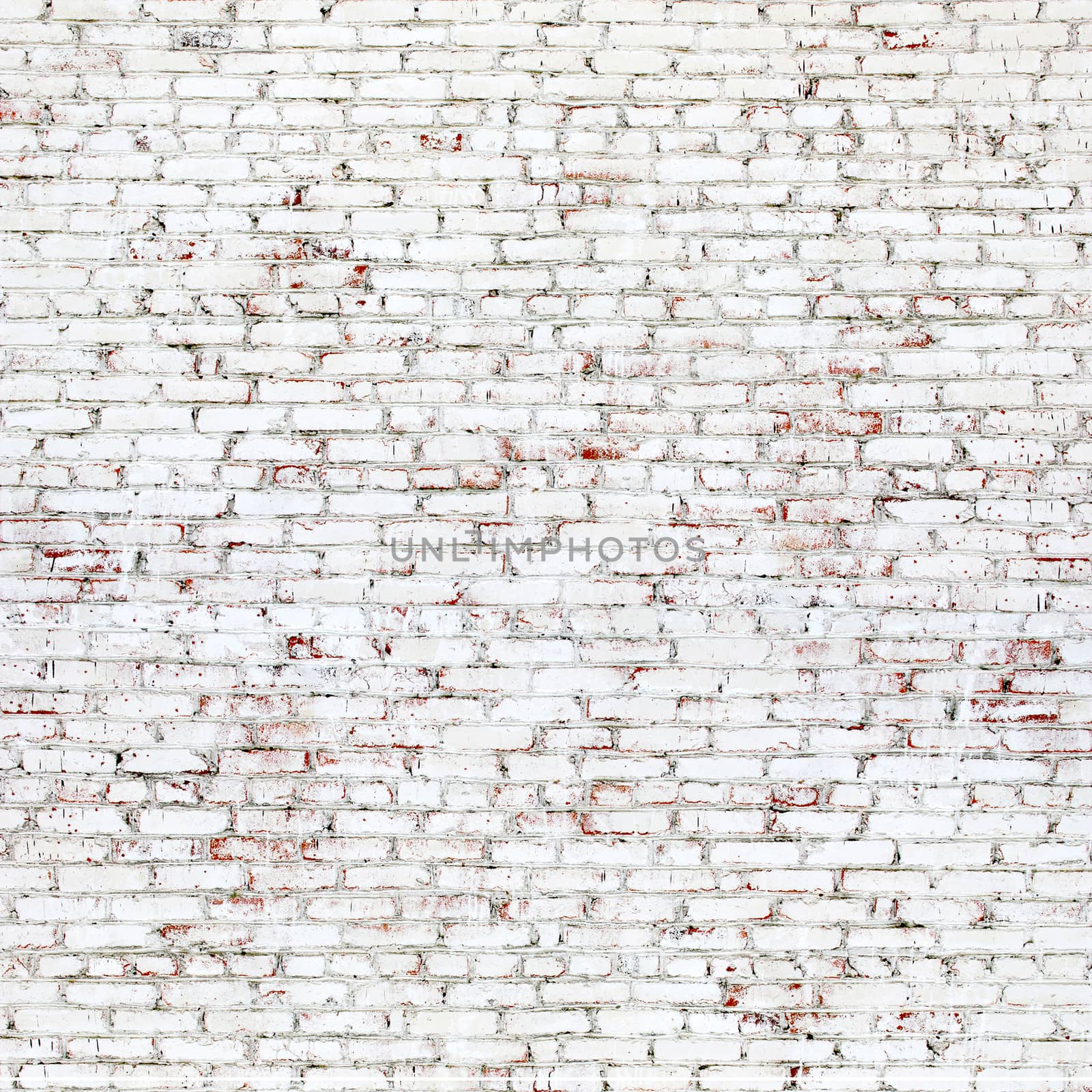 Old brick wall with white and red bricks