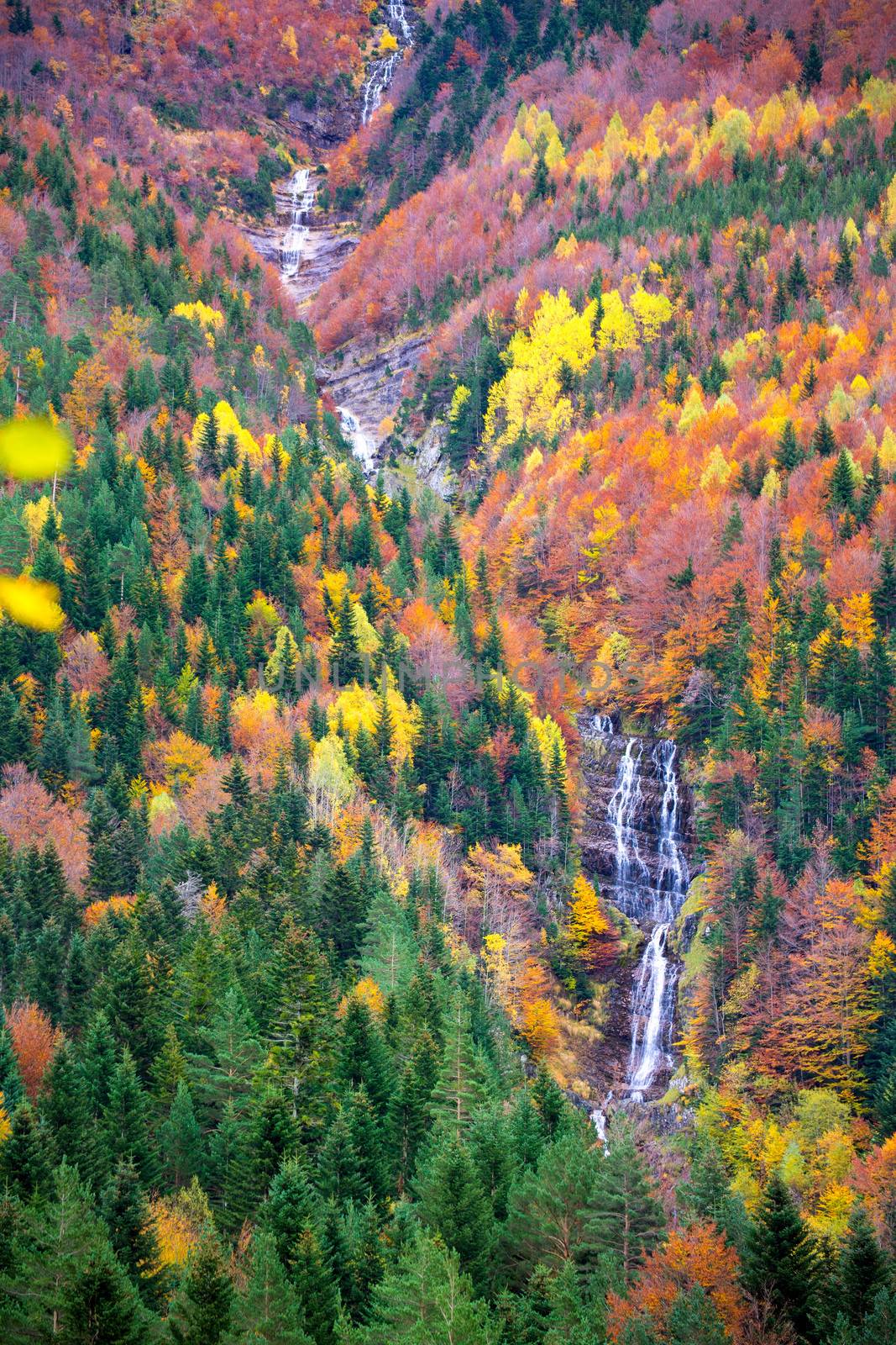 Autumn Bujaruelo Ordesa waterfal in colorful fall forest Huesca by lunamarina