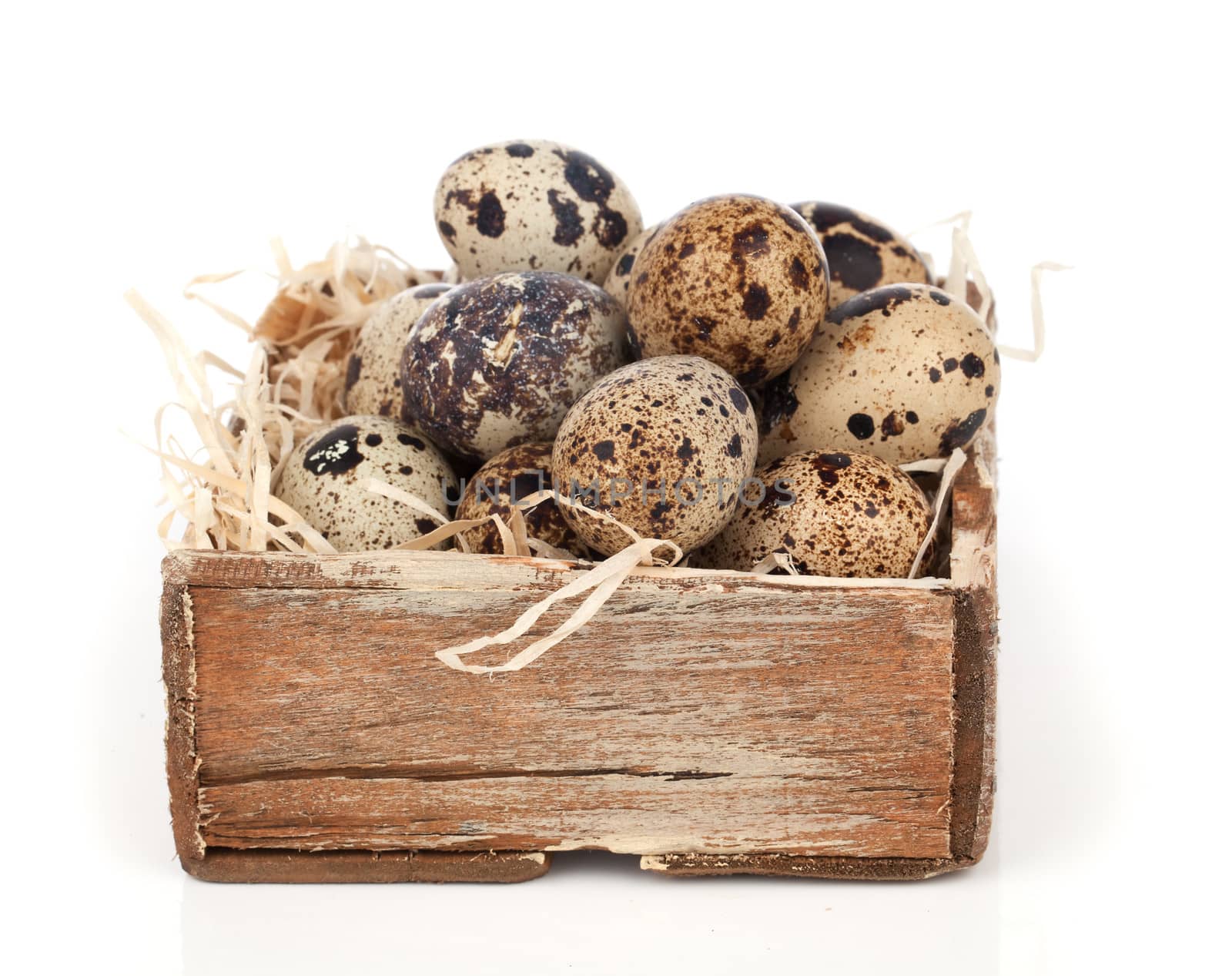 quail eggs isolated on white background