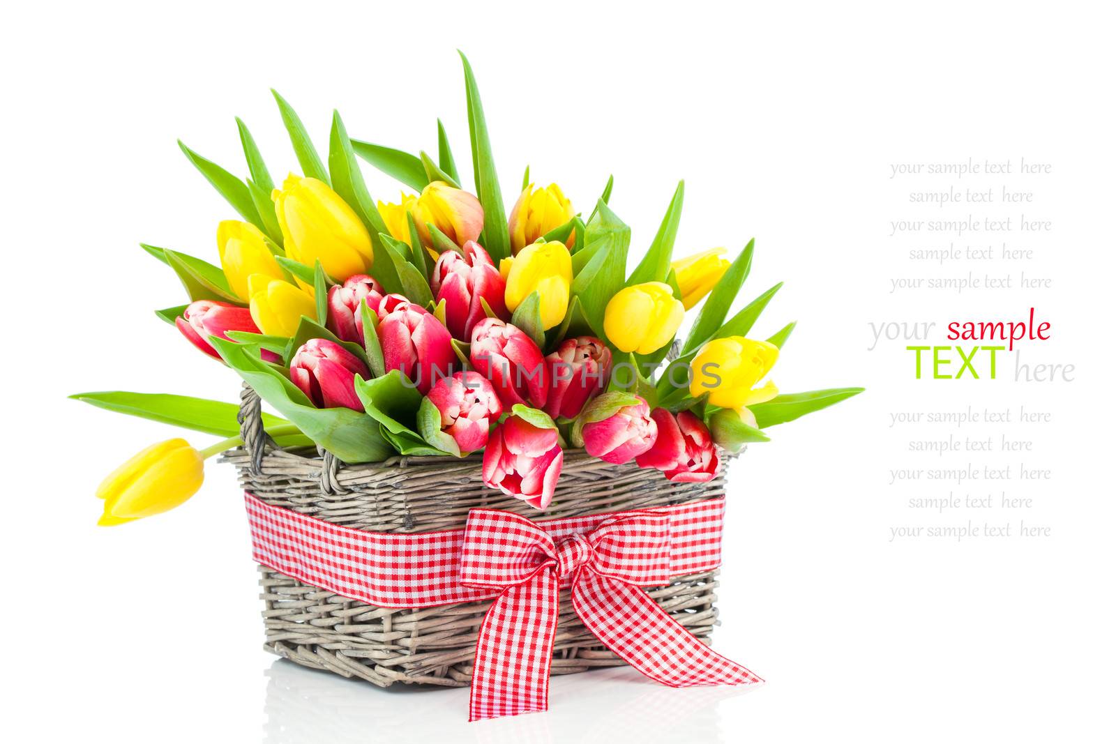 spring tulips in wooden basket, on white background. happy mothers day, romantic still life, fresh flowers