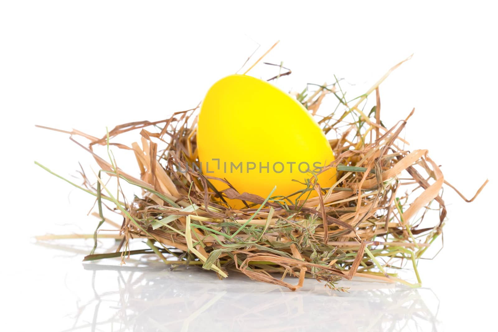 Easter Egg in a nest on a white background