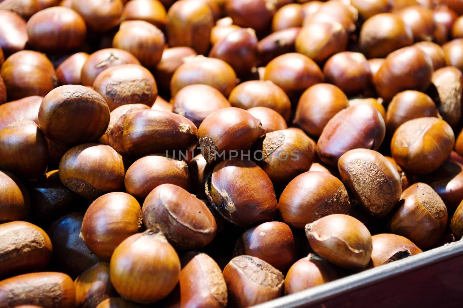 Chestnut was placed on the market.