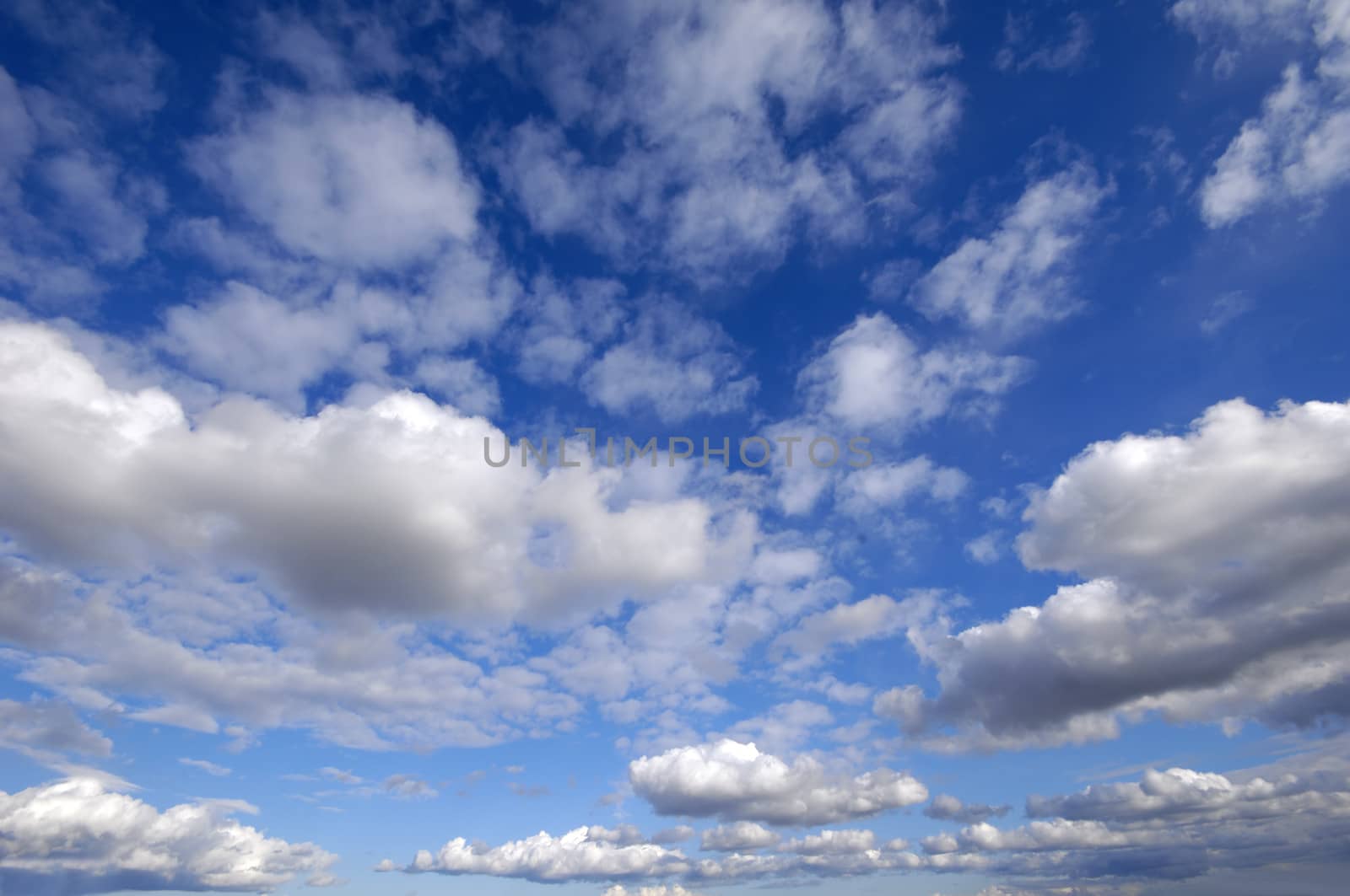 Cloudscape with white clouds and blue sky