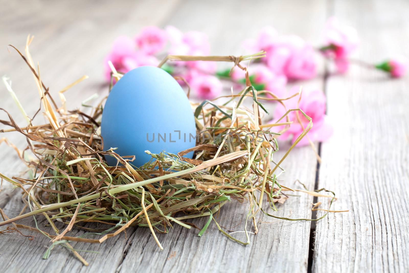 Easter eggs on wooden background