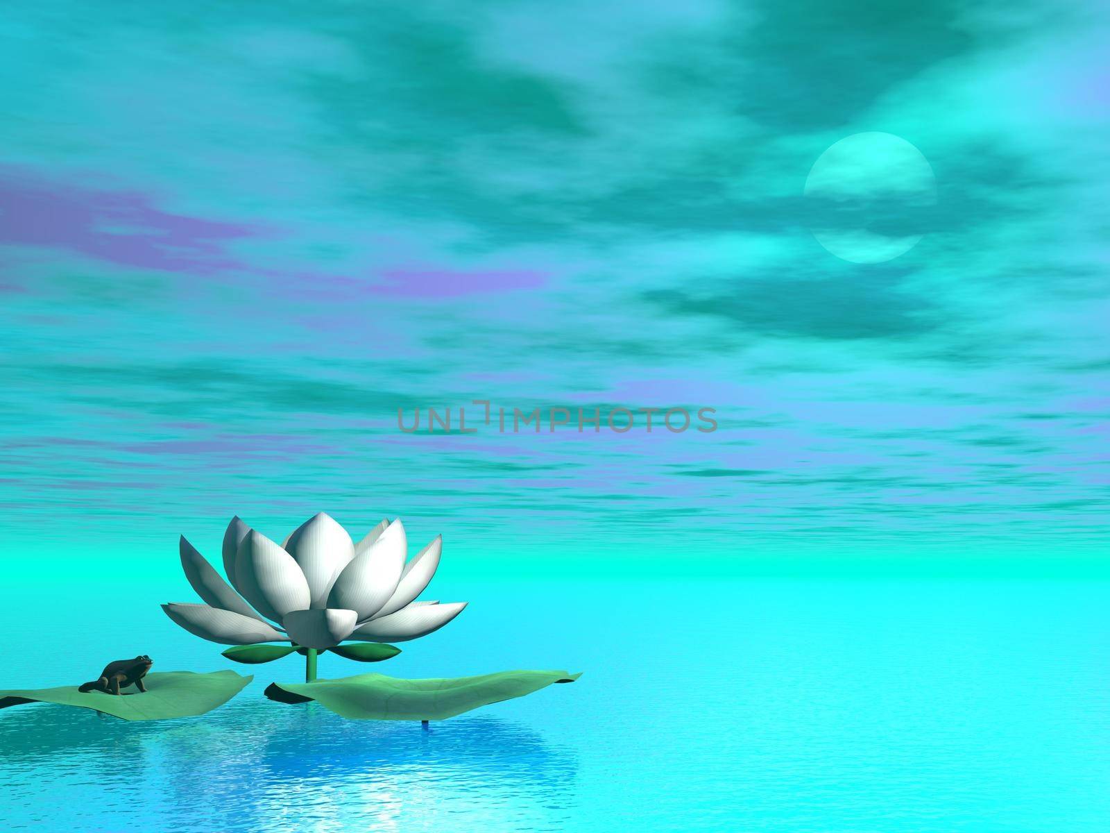 White lily flower next to leaves and frog in turquoise background