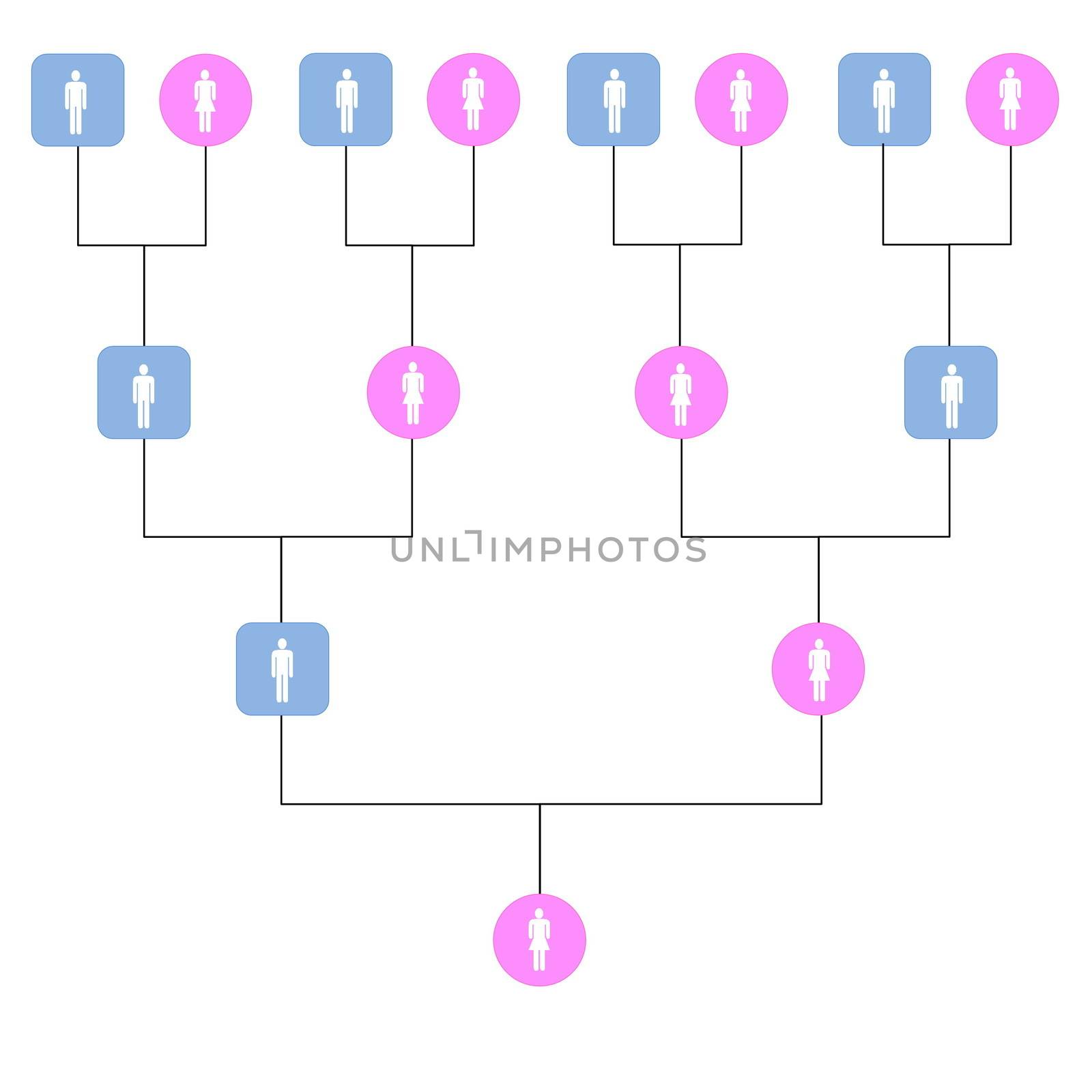 Family tree by Elenaphotos21