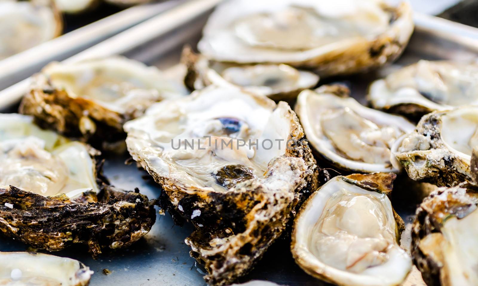 Raw oysters closeup with shallow depth of field.