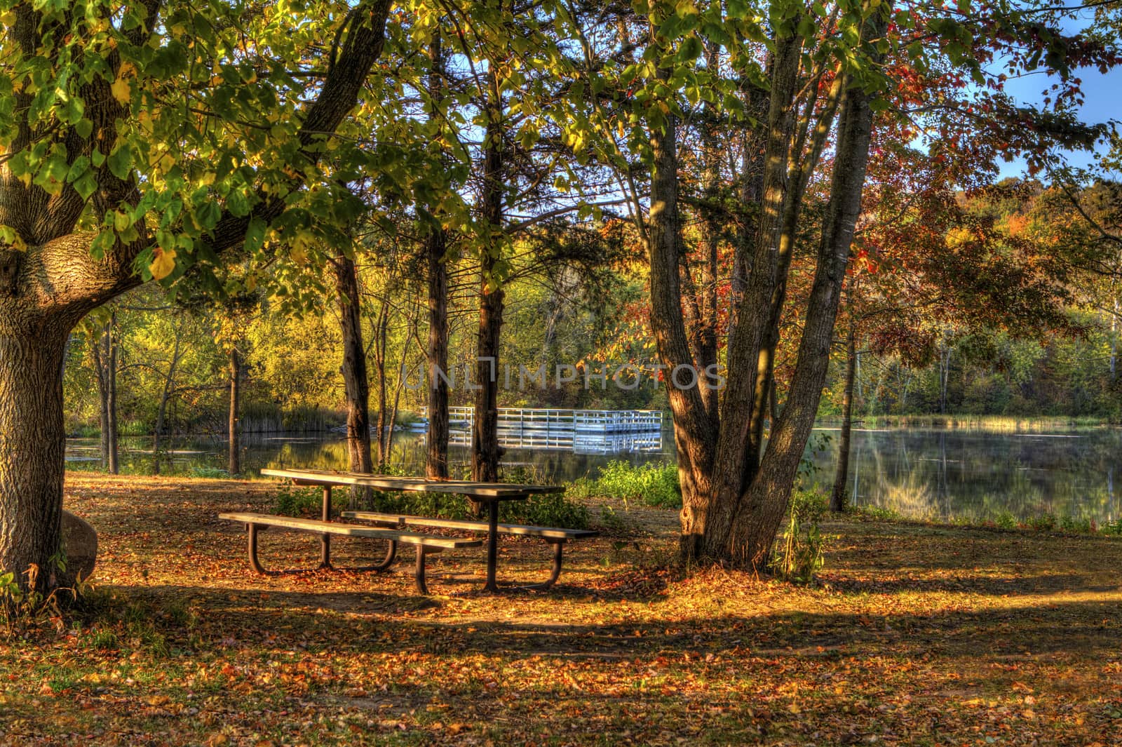 An HDR landscape of a forest and pond.