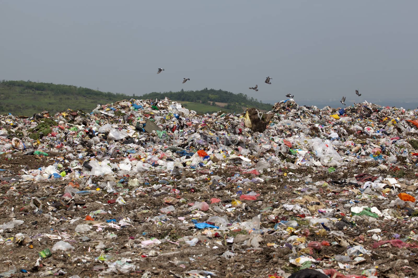 Landfill by wellphoto