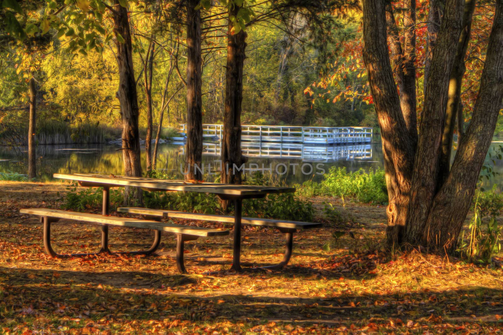 An HDR landscape of a forest and pond in soft focus
