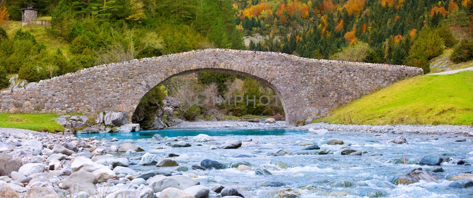 Rio Ara river and bridge San Nicolas de Bujaruelo in Ordesa Aragon Huesca Spain