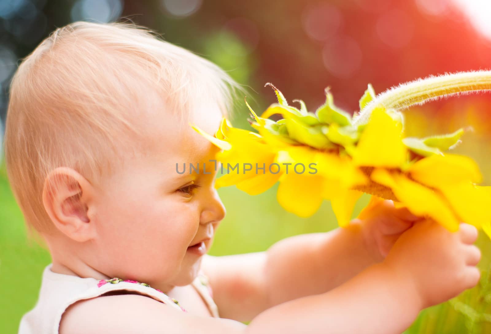 Cute baby with sunflower on summer field