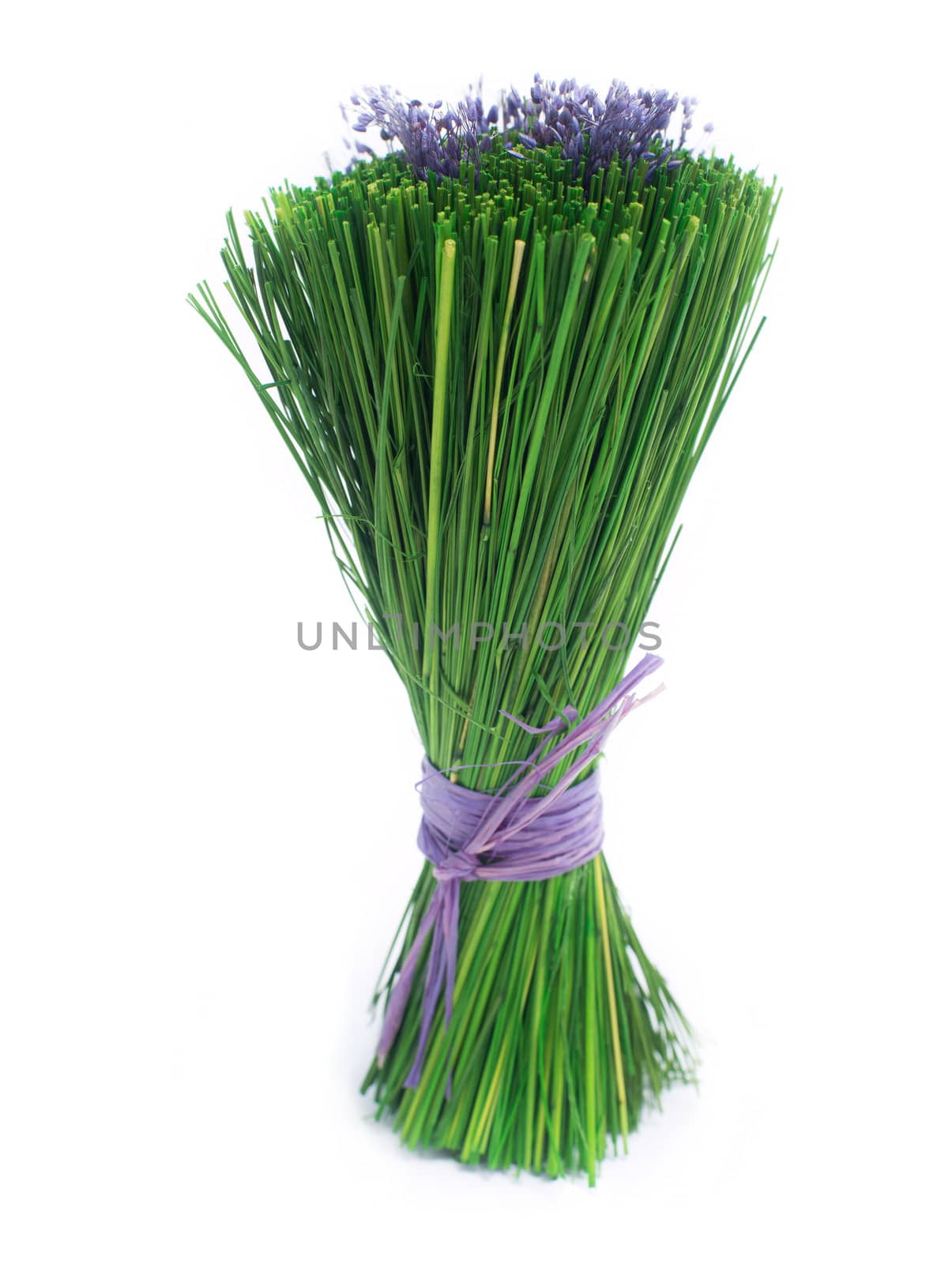 bunch of green grass with purple Lavender isolated white background