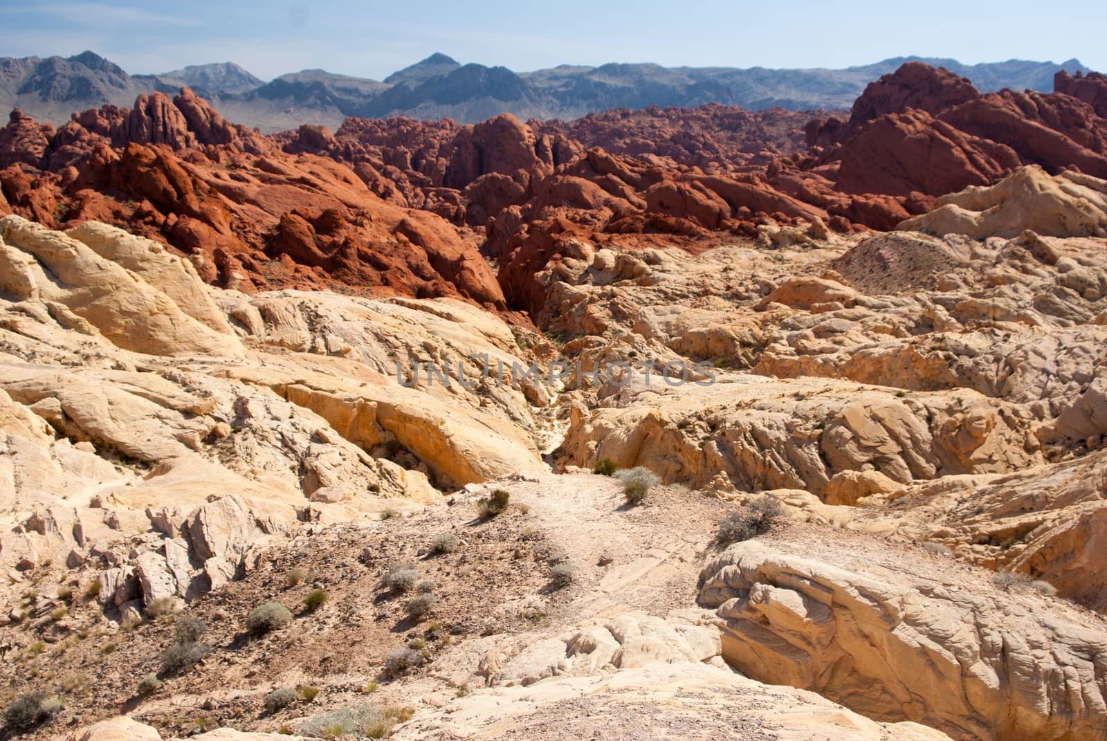 Colored rocks in Valley of Fire State Park