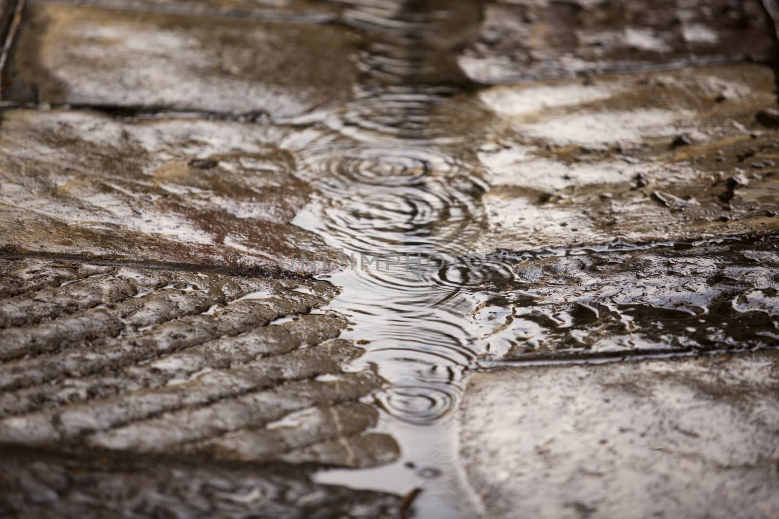 Wet cobblestone