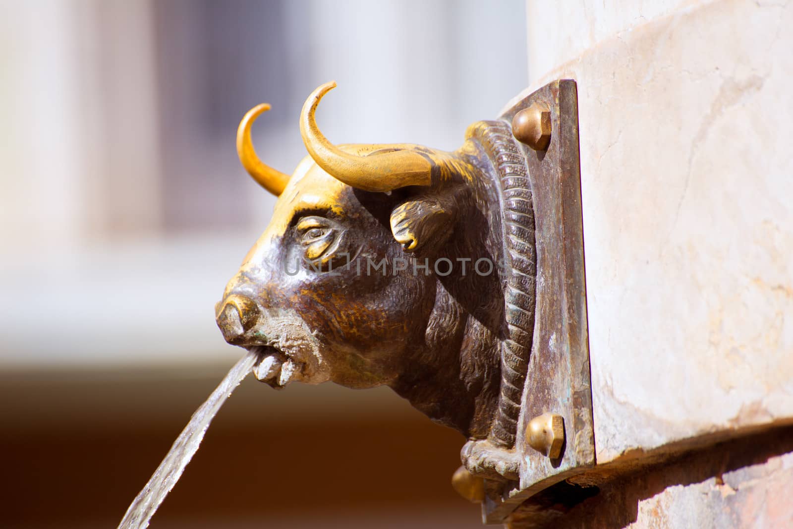 Aragon Teruel El Torico fountain in Plaza Carlos Castel square at Spain