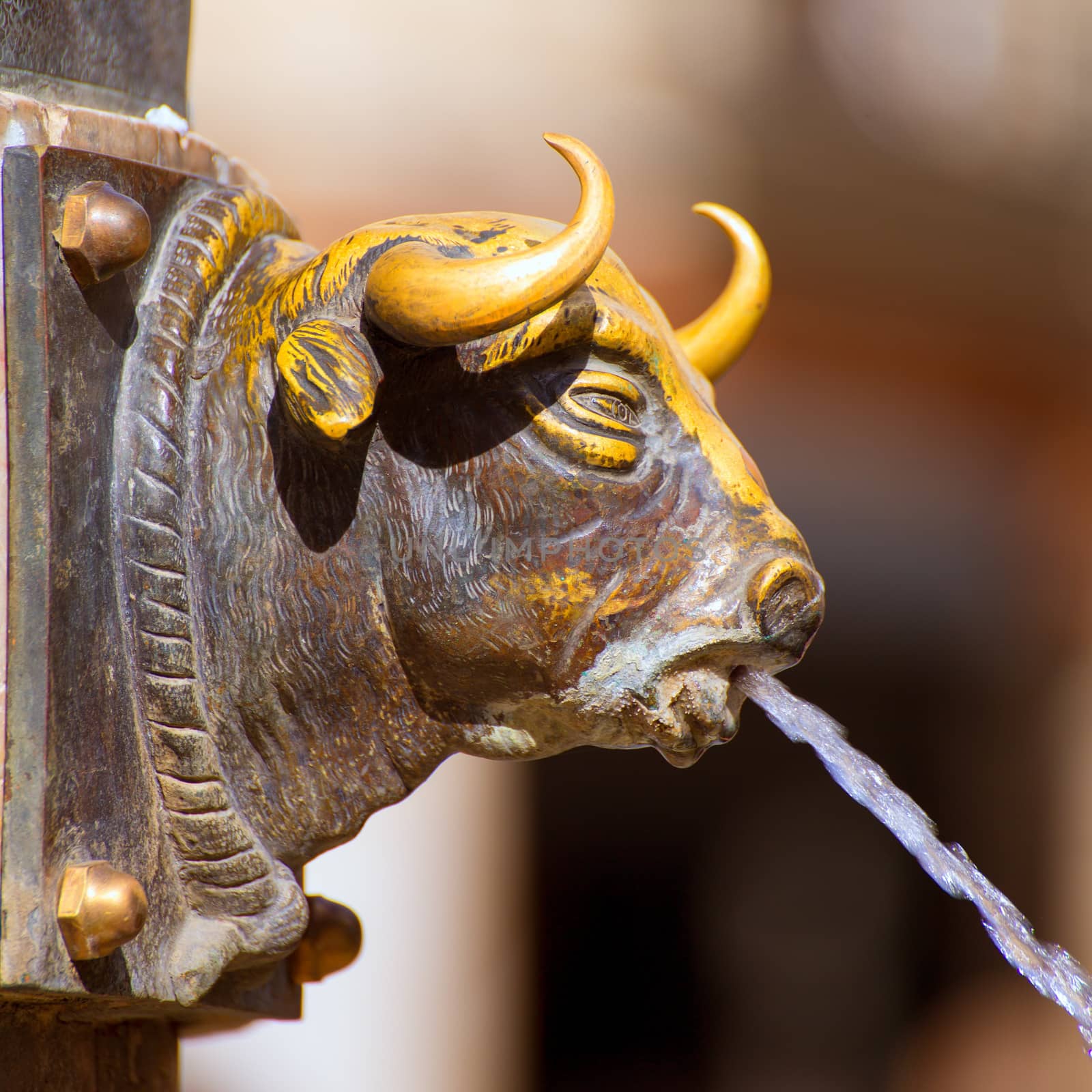 Aragon Teruel El Torico fountain in Plaza Carlos Castel square at Spain