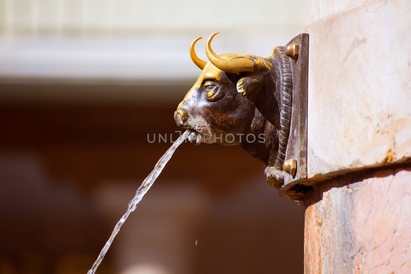 Aragon Teruel El Torico fountain in Plaza Carlos Castel square at Spain