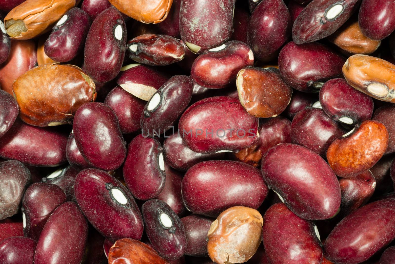 Big pile of dried kidney beans