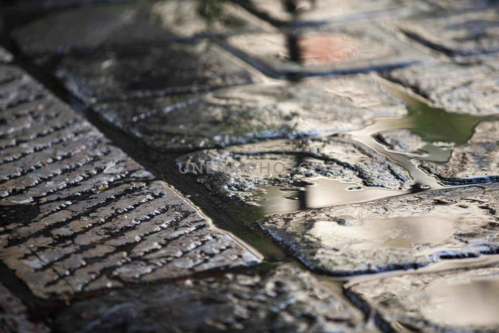 Wet pavement by wellphoto