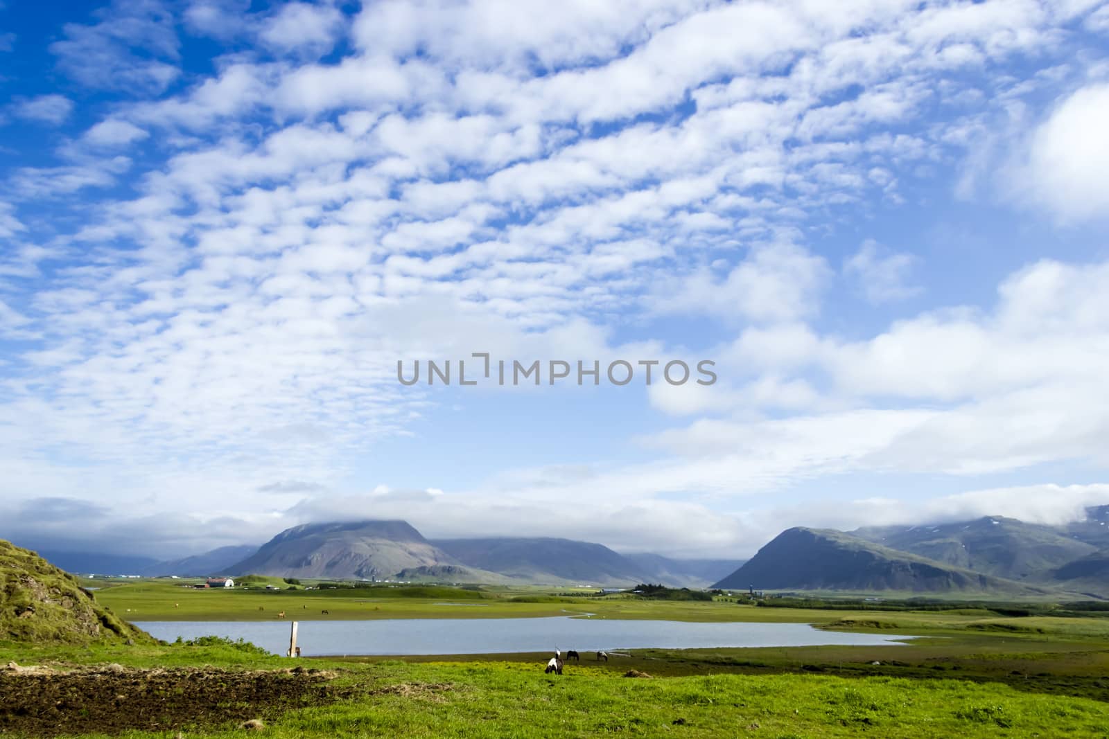 Beautiful lake against mountain background, Iceland, good summer by Tetyana