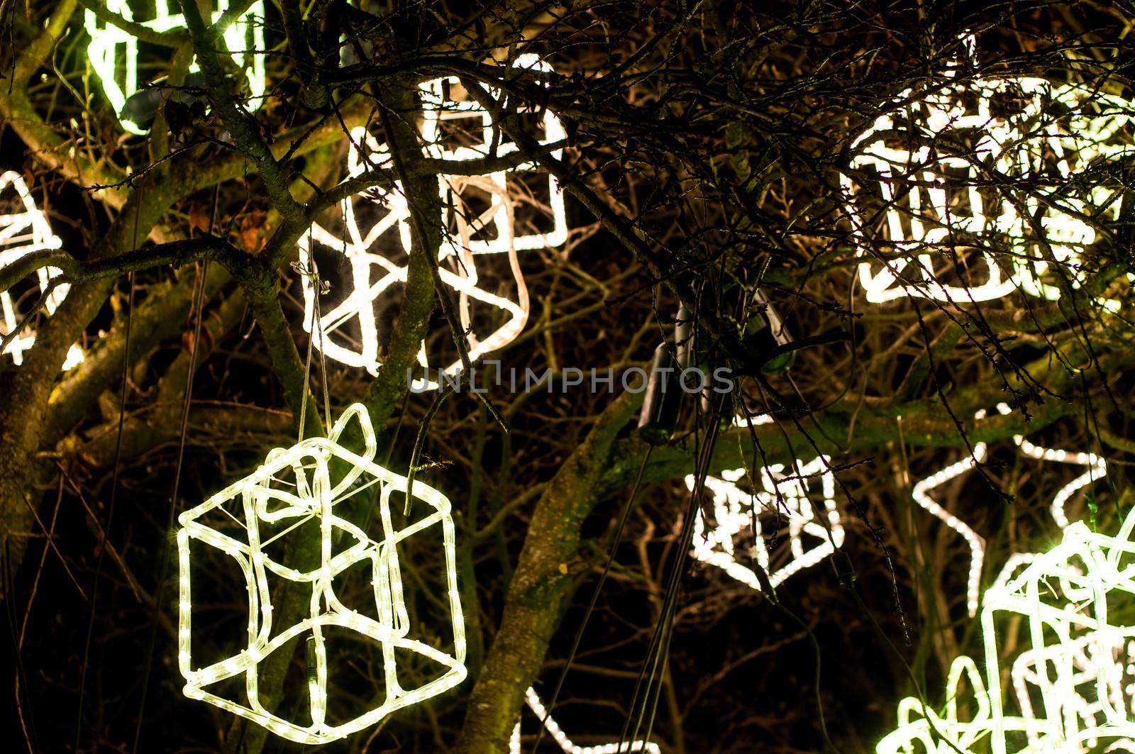 Different christmas lights on a tree at night