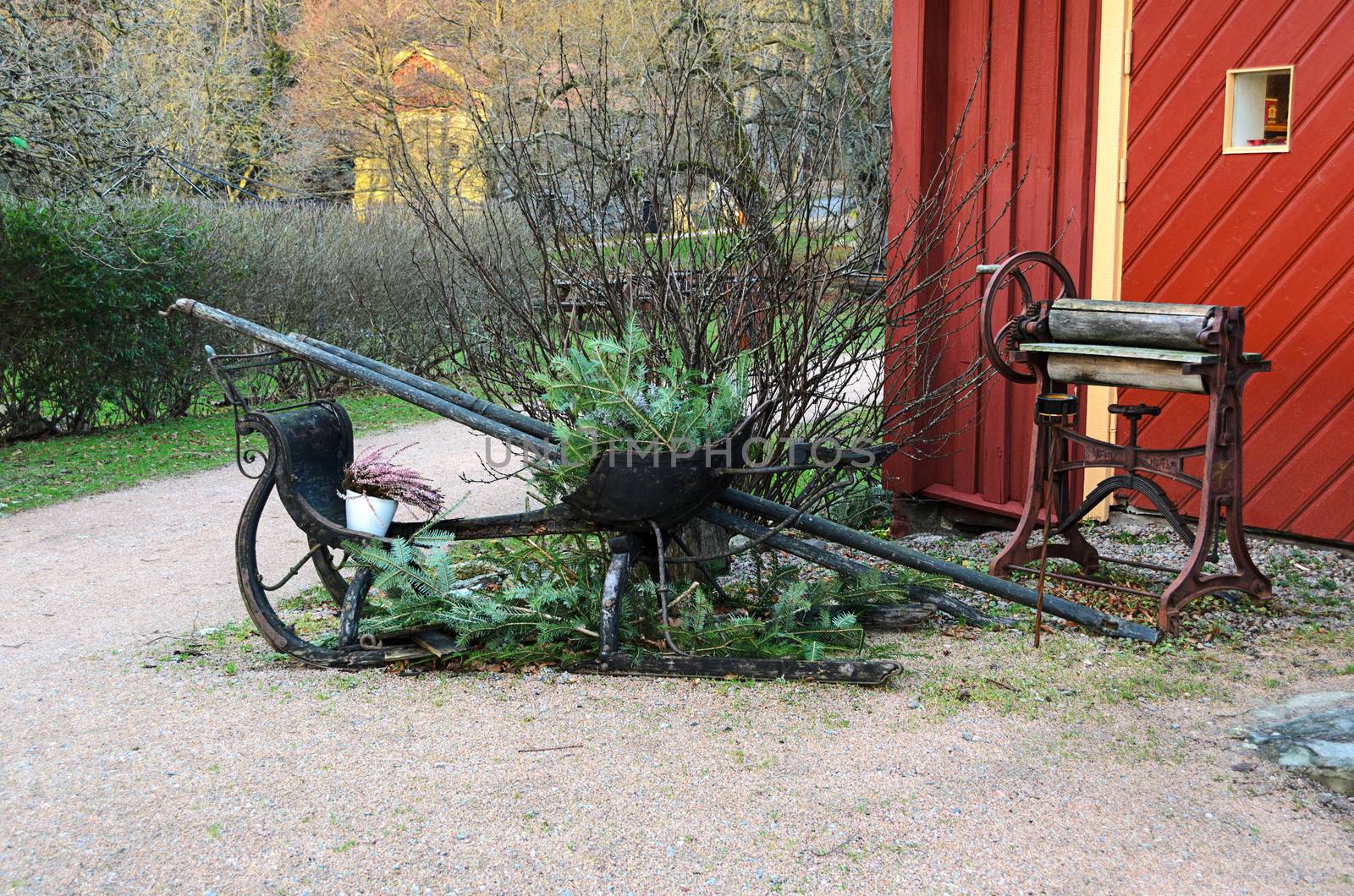 ols sled with flowers for christmas and one old mangle