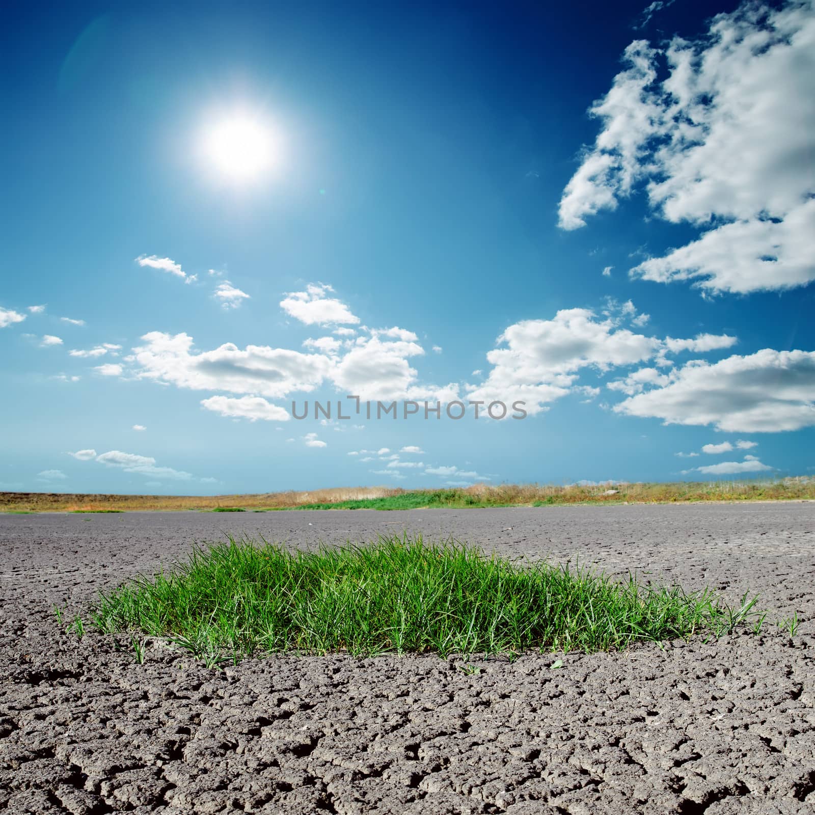 cracked earth with green grass and deep blue sky over it