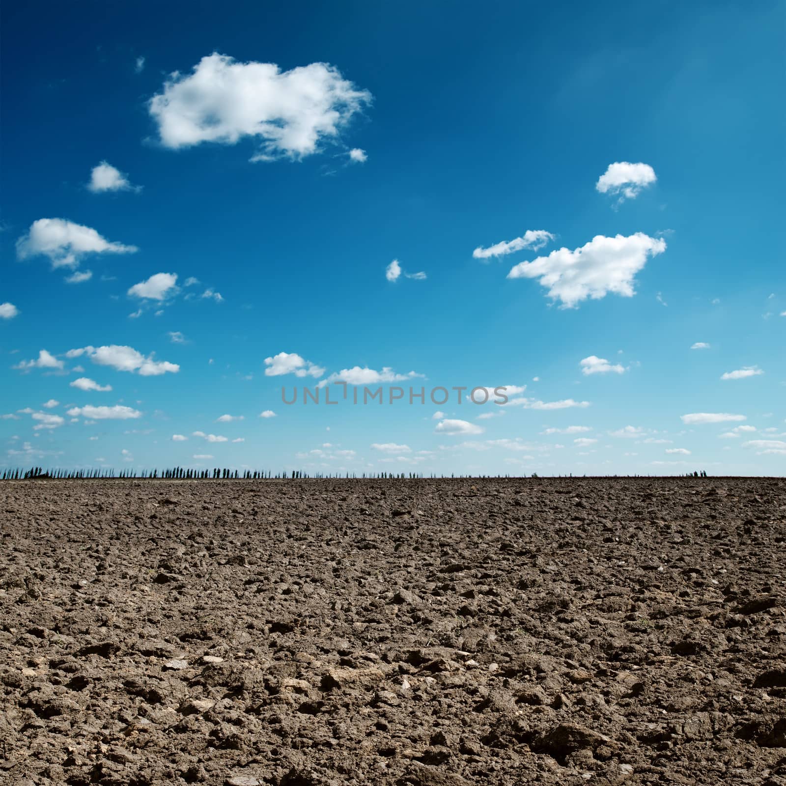 plowed field and blue sky