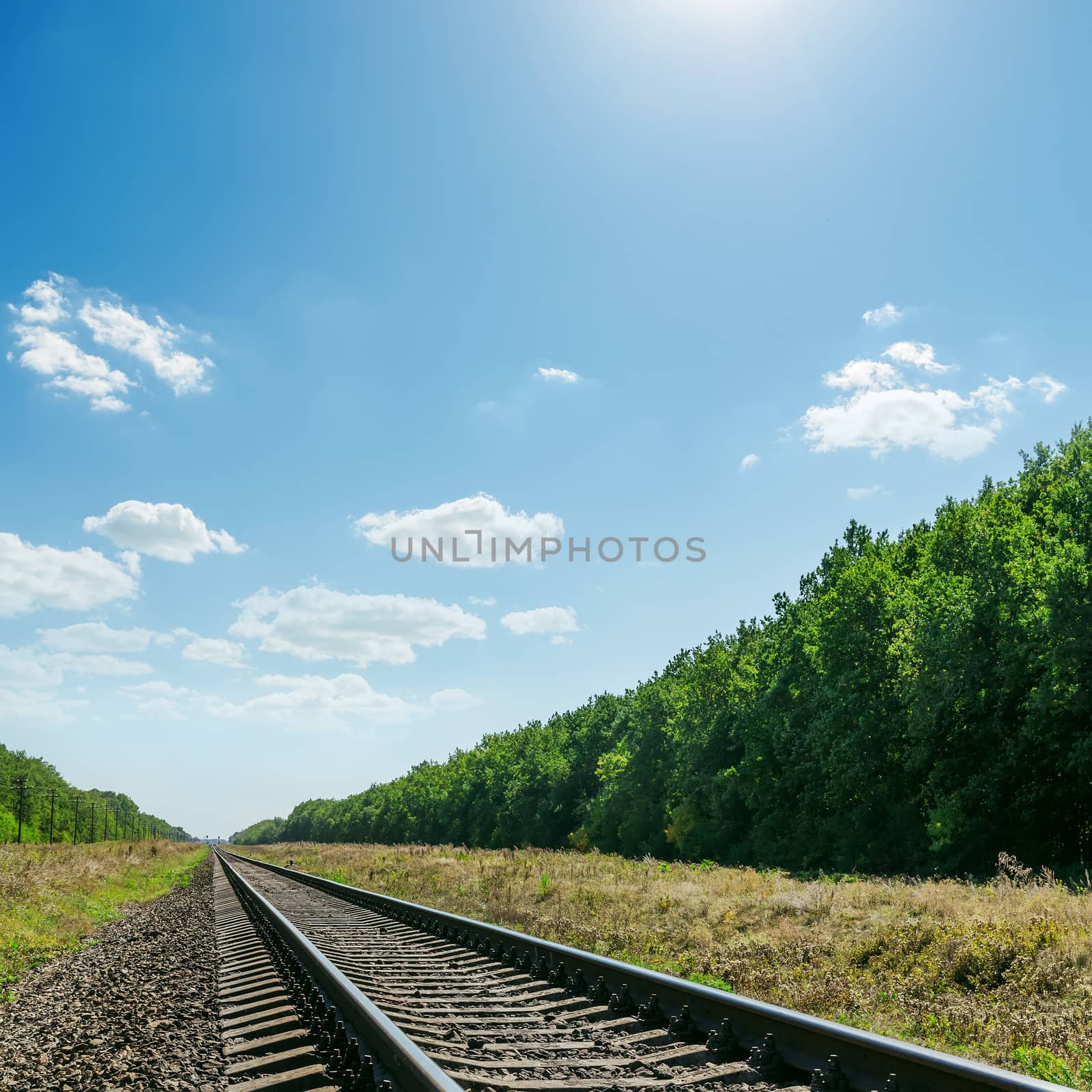 railroad to horizon in green landscape and blue sky with sun over it