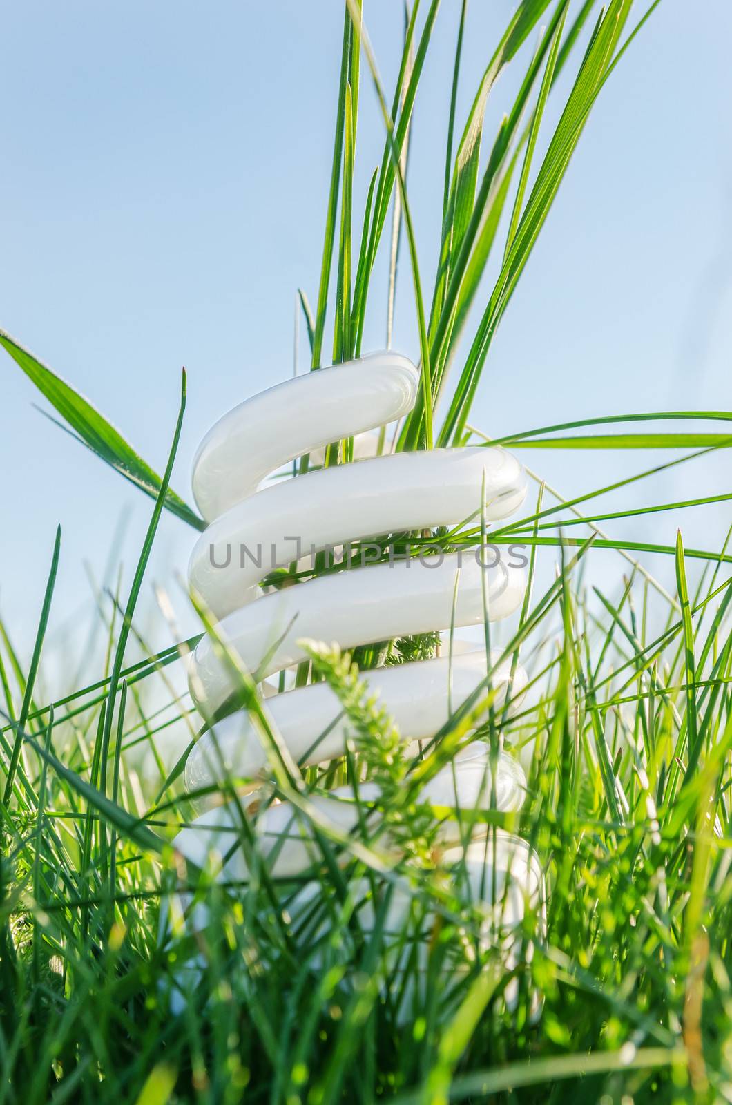white eco bulb in green grass by mycola