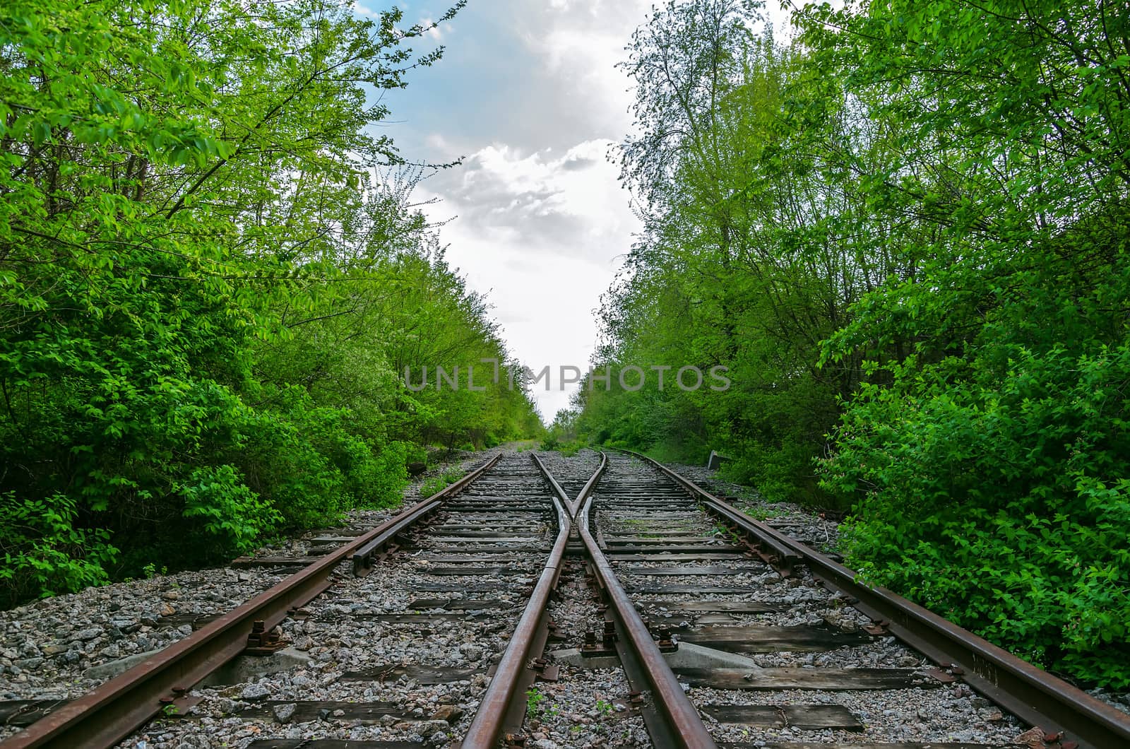 crossing of two railroads in wood