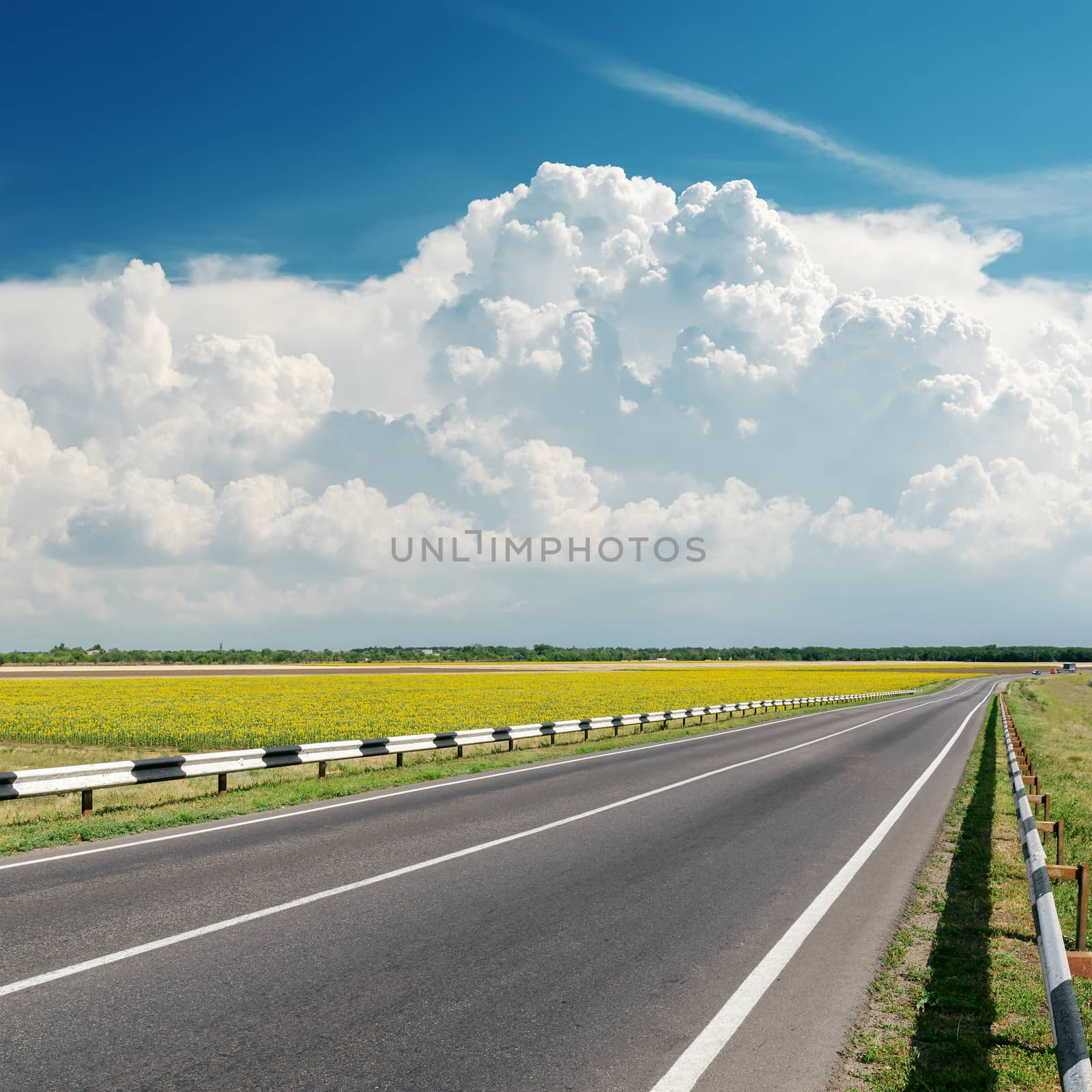 asphalt road goes to cloudy horizon