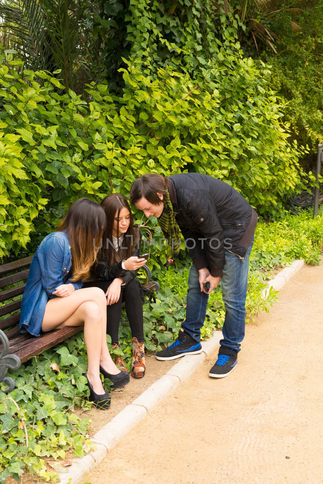 Friends in the park gathered around a  smartphone
