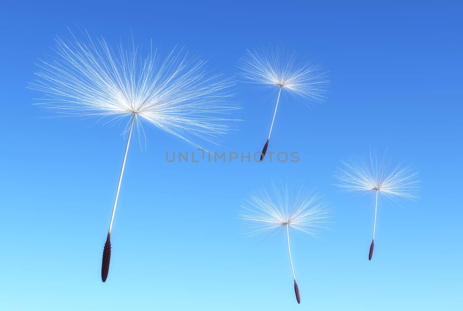 some flying seeds of dandelion are carried by the wind on a blue sky as background