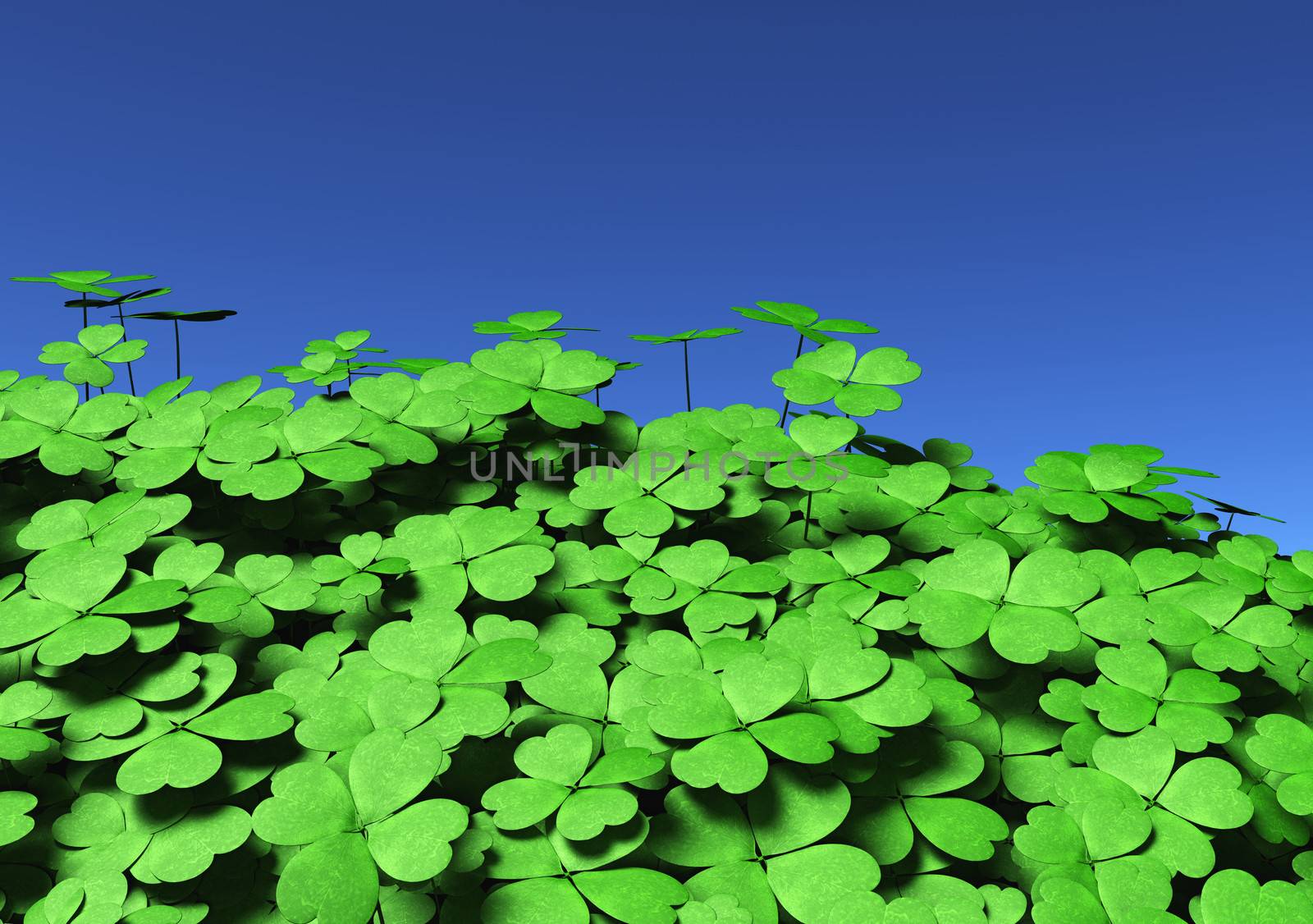 view of a group of four-leaf clovers of different height and dimensions, on a blue sky background