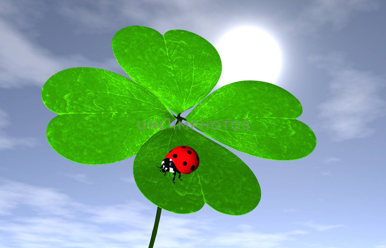 closeup of four-leaf clover that has a red ladybird on one leaf, with the sun and some clouds in the sky behind it on the background