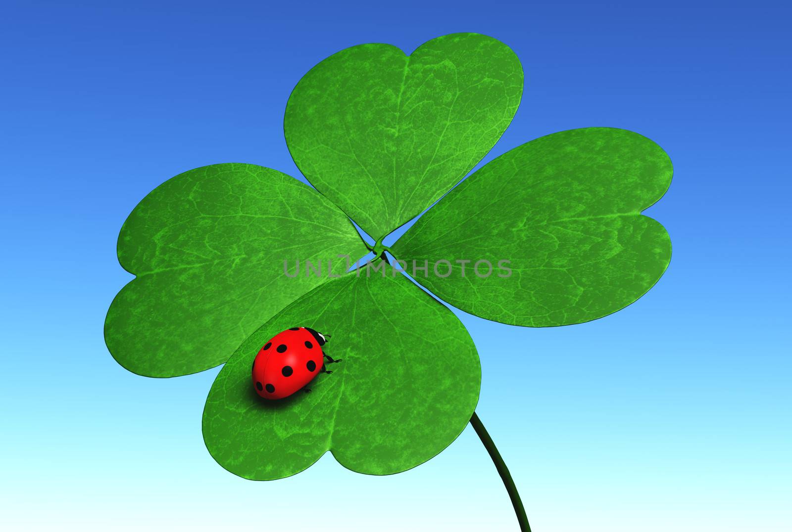 closeup of four-leaf clover that has a red ladybug on one leaf, with a blue sky on the background