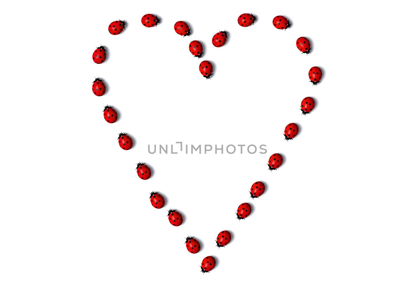 Row of ladybugs forms a heart shape by TaiChesco