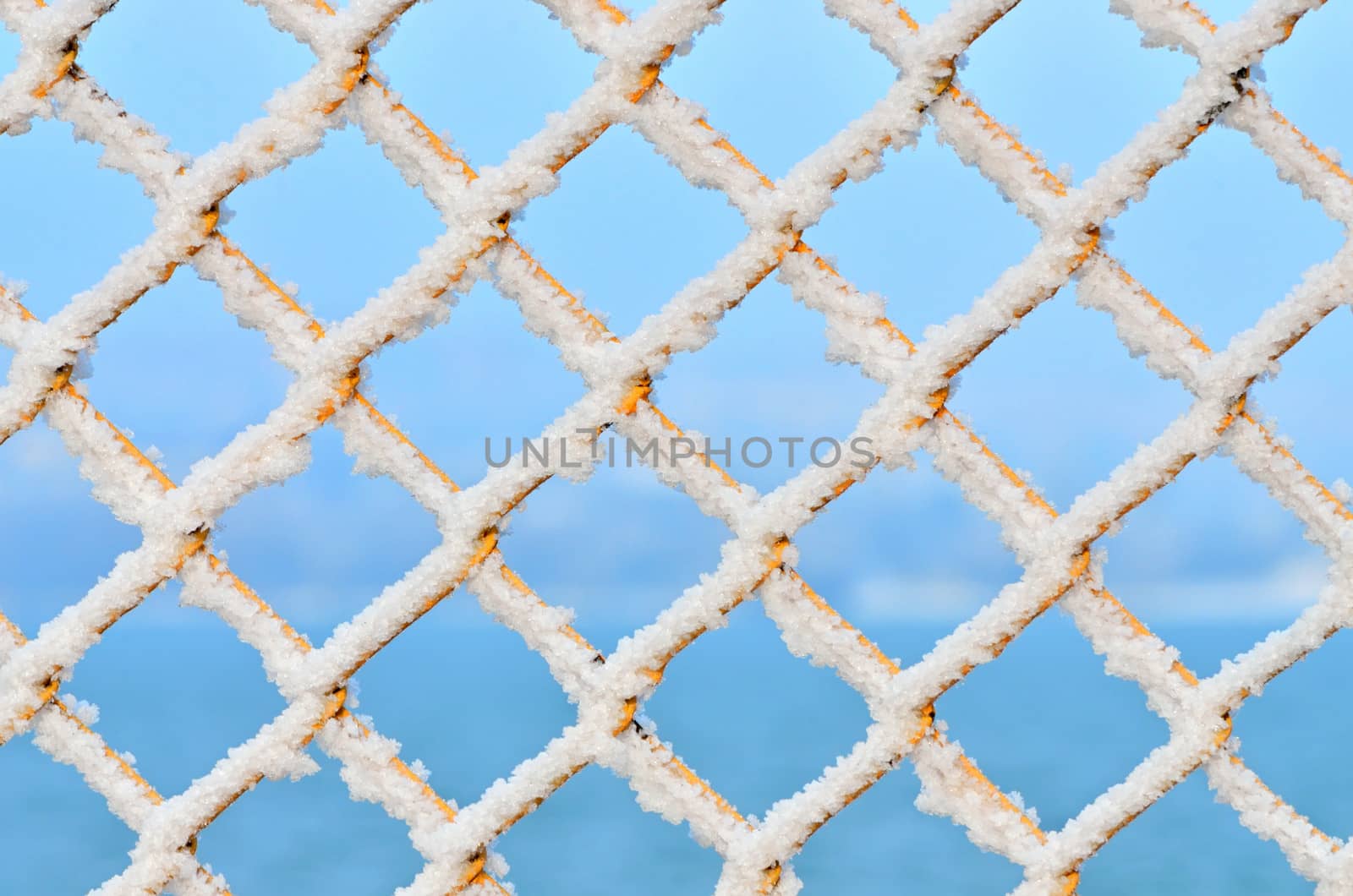 macro shoot with snow on fence

