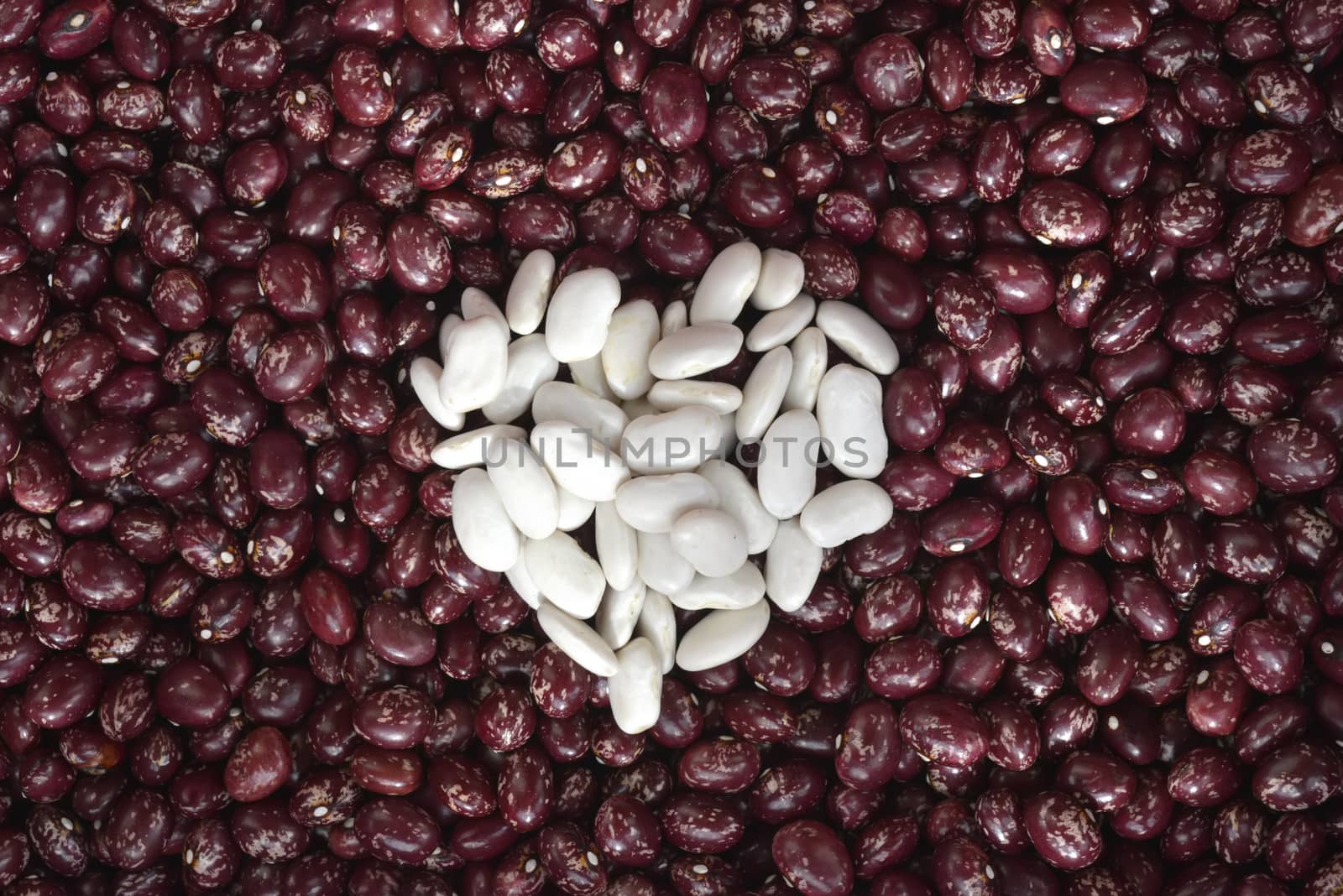 red bean background with heart made with white beans