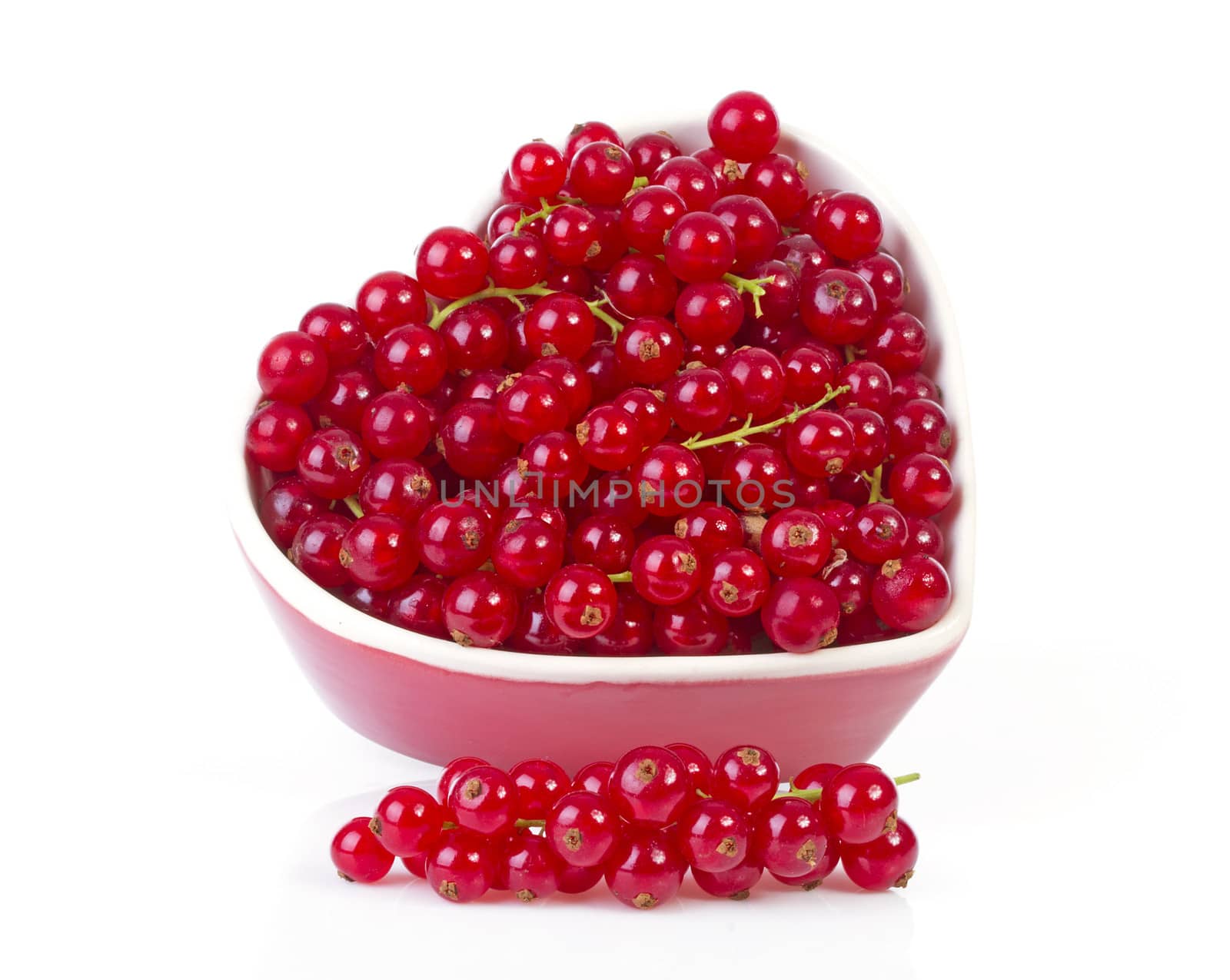 Bunch of fresh red currant berries fruit over white background