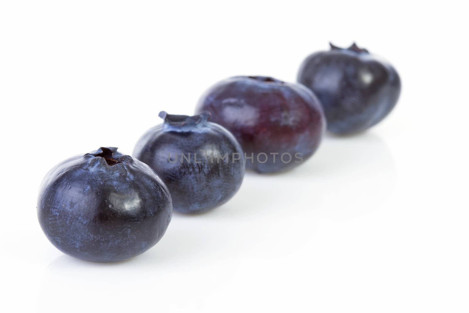 Four black currant berries in a row over white background