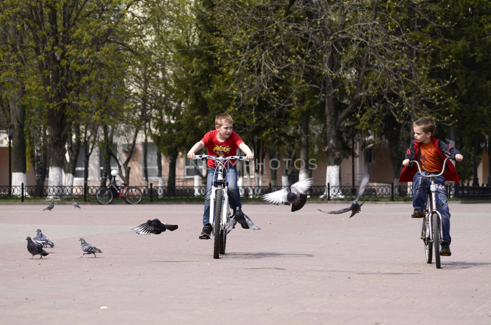 Two boys, spring day ride bikes on the street, next flying pigeons