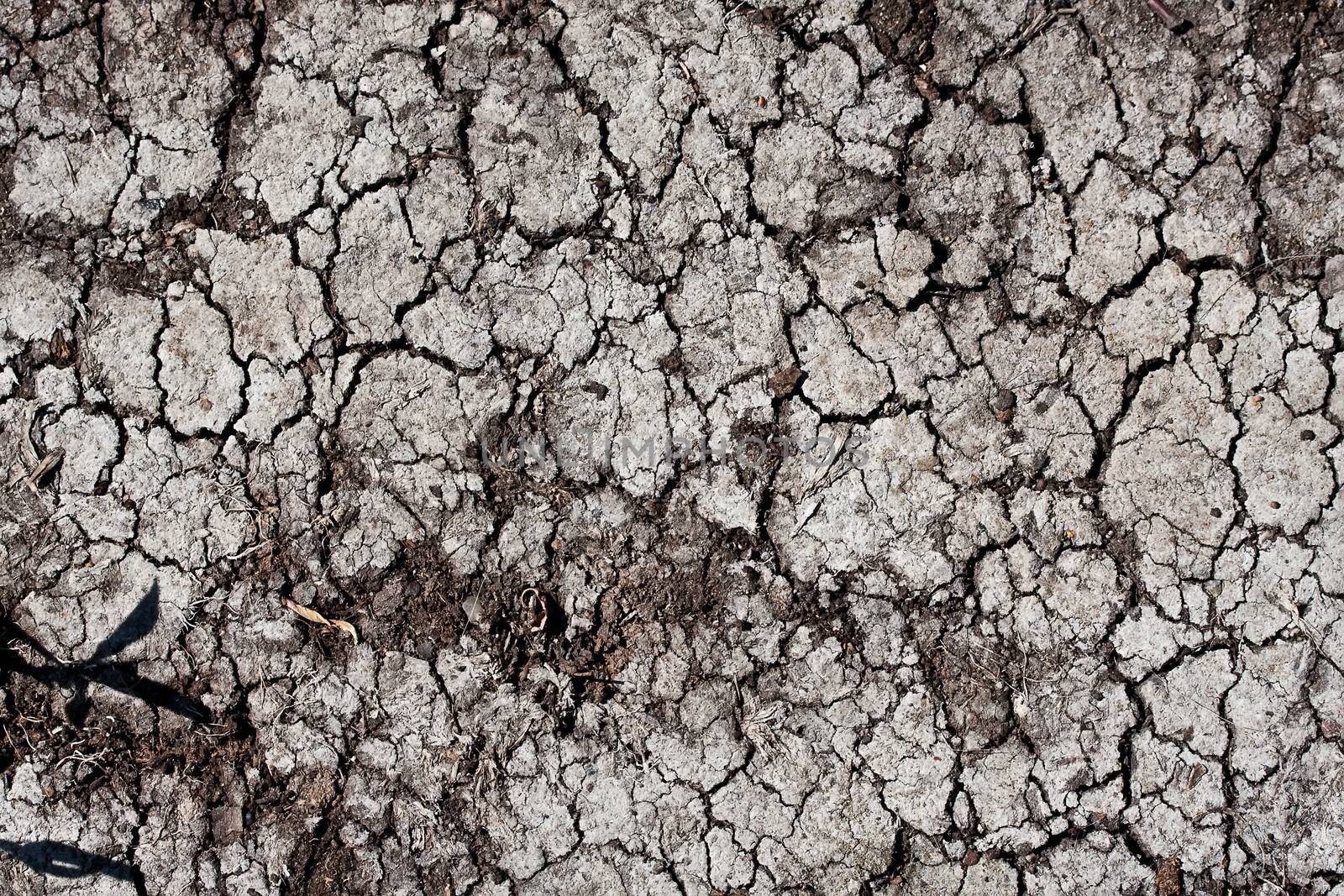 Land with dry cracked ground texture background