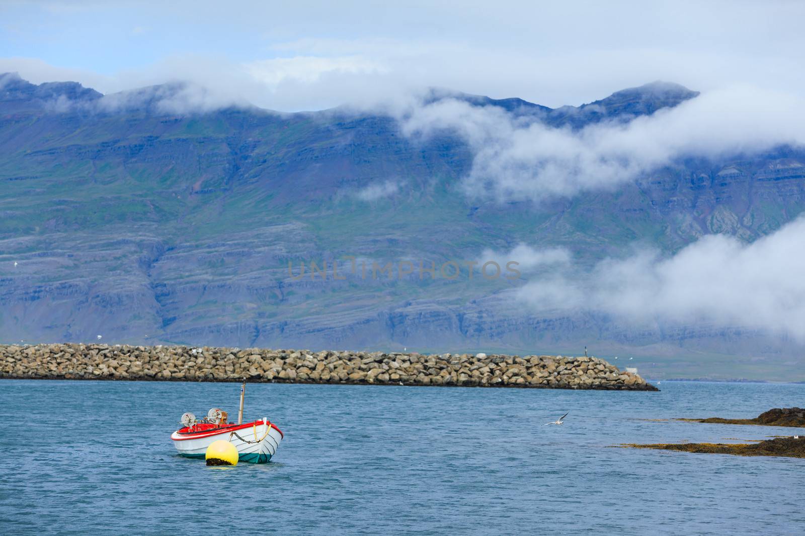Fishing boat. Beautiful view of East fjords Iceland