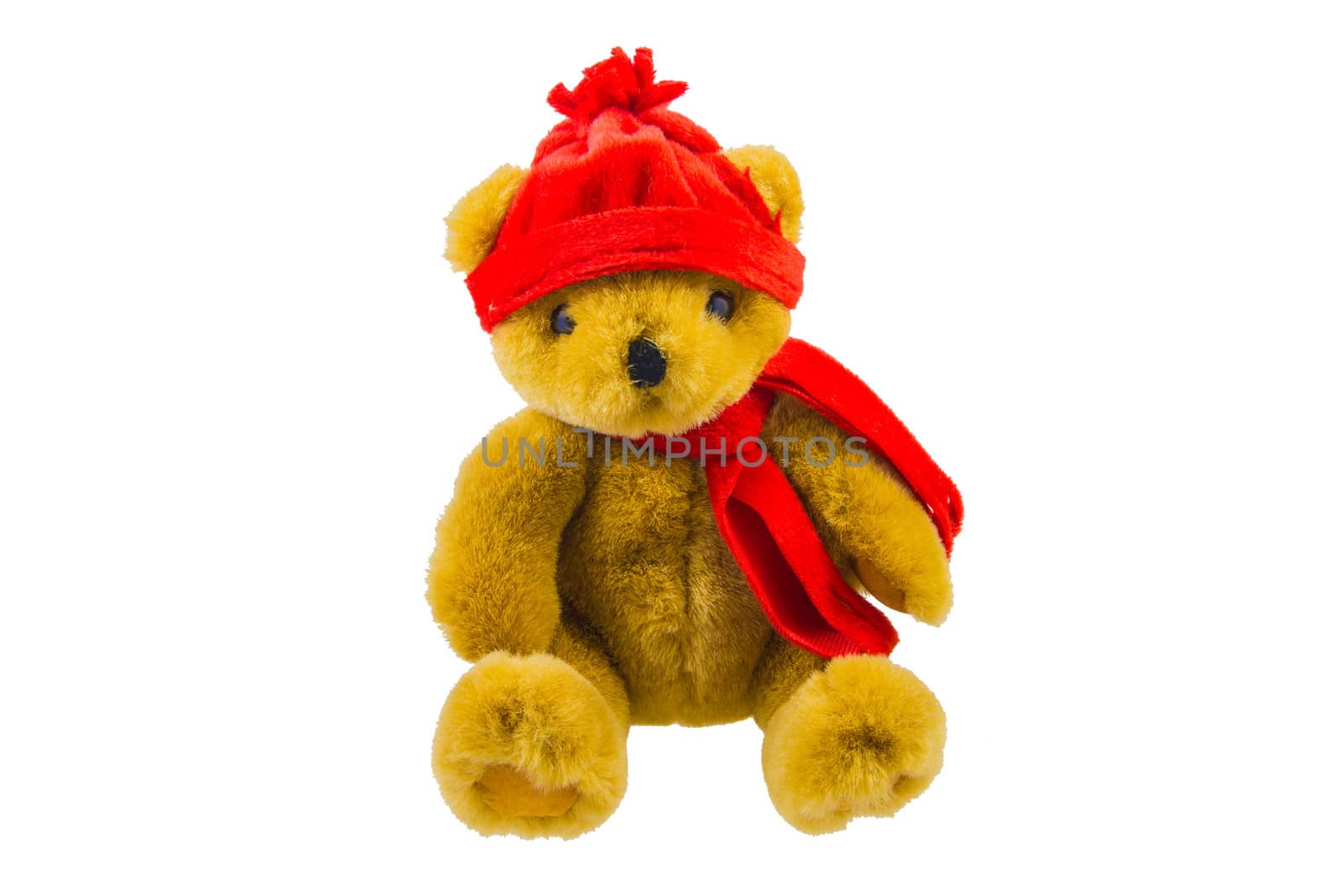 Teddy bear with red scarf and hat by huntz